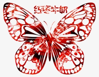 Picture Free Download Curtain Clip Butterfly - Золотая Бабочка