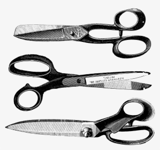 Shears Clipart Vintage - Scissors