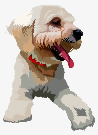 #toypoodle #toypoodlelove #art Dog Artwork, Dog Illustration - Dog Catches Something
