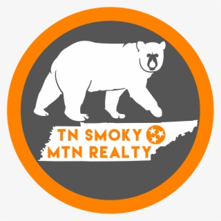 Tn Smoky Mtn Realty