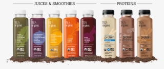 Romaine Juice - Plant Based Beverage