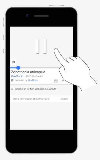 Media Viewer Mobile - Iphone