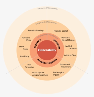 Vsd Showing Some Components Of The Dimensions Of Vulnerability - Circle