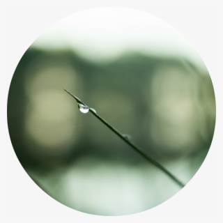 Toxins, Pollutants Your Nervous System - Macro Photography