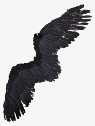 Alas De Aguila Png - Alas De Aguila Disfraz