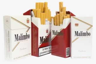 Fine Cigarette Manufacturing Company - Book Cover