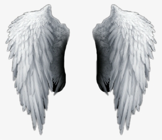 White Sticker - Angel Wings Png Hd - 1024x886 PNG Download - PNGkit