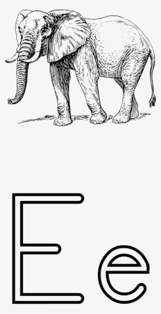 Free Letra E De Elefante - Black And White Elephant Drawing
