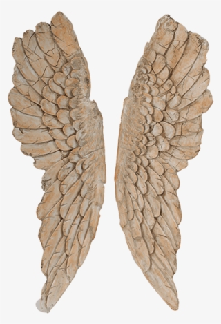 Angel Wings - Decorative Arts