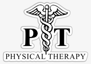 Physical Therapy Job