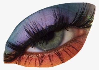 Report Abuse - Eye Shadow