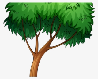 Tree Cartoon Png - ภาพ วาด การ์ตูน ต้นไม้