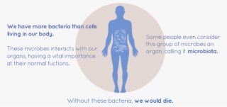 In Our First Time Ever Participating In Igem, Our Project - Diagram