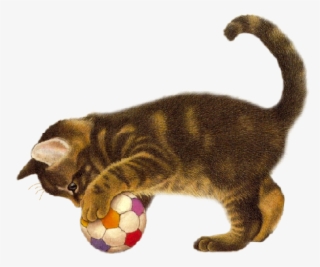 Cães E Gatos Png - Chat Qui Joue Avec Un Ballon