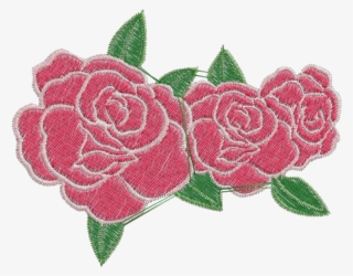 Garden Roses