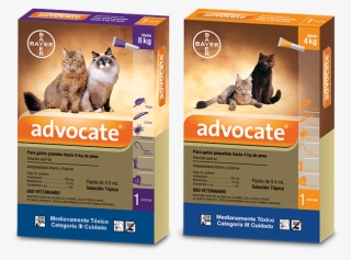 Advocate® Gatos - Pipeta Advocate Gatos
