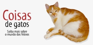 1 - 2 - - Door To Door Organics