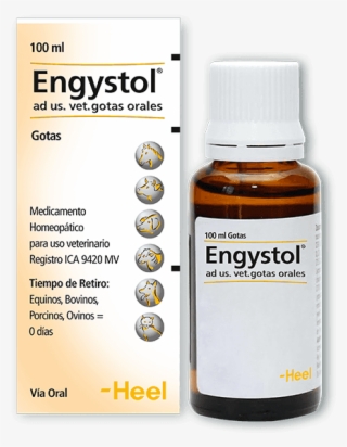Heel , Gotas 100 Ml - Engystol Para Que Sirve