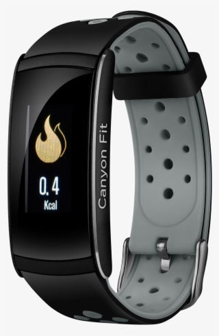 Cns-sb41br - Analog Watch