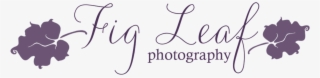 Fig Leaf Photography - Fig Leaf Logo