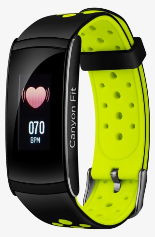 Cns-sb41bg - Analog Watch