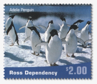 Single Stamp - Emperor Penguin Stamps
