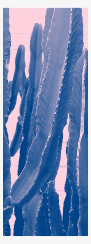 Cactus Art Door Mural Landscapes & Nature Eazywallz - Illustration