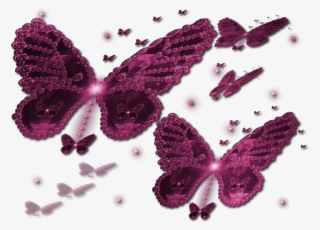 Borboleta Cor De Rosa Camiseta - Papilio