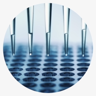 Laboratory Methods