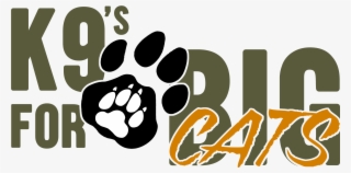 One Of Our Initiatives In Detail - Illustration