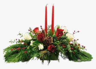 Roses At Christmas - Garden Roses