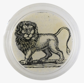 Masai Lion