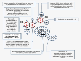 Influencia Estructural De La Malvidina 3 O - Diagram