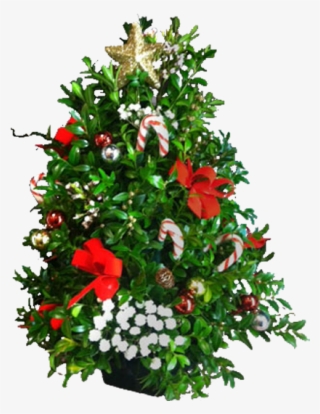 Ready For Christmas - Christmas Tree