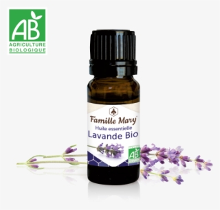 Huile Essentielle Lavande Bio - Essential Oil
