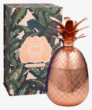 Absolut Elyx Boutique Copper Pineapple Gift Box - Illustration