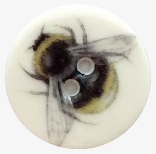 Bumble Bee Porcelain Button, - Honeybee