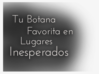 Conoce Todas Nuestras Video Recetas