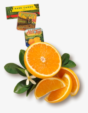 Florida's Natural Orange Juice The Best Orange Juice - Recipe