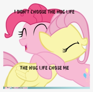 Dion't Choose The Hug Life The Hug Life Chose Me Mylittle - My Little Pony Meme Hug