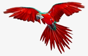 Animals Clipart Png,cartoon Animals Png,cute Animal - Download Png For Photoshop