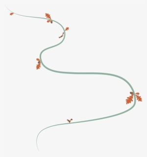 Welcome To Mighty Oak Medical - Line