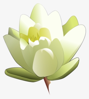 Outline, Drawing, Cartoon, Free, Pad, Leland - Clipart Of Lily Flower