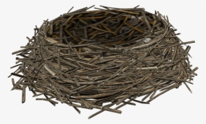 Birds Nest