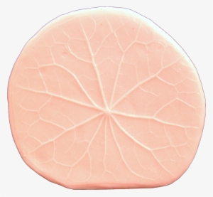 Lily Pad Leaf - Leaf