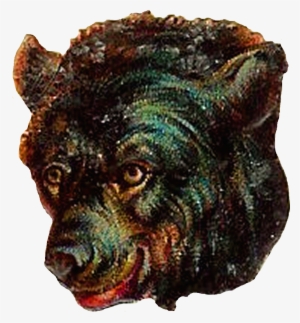 Brown Bear - Bear
