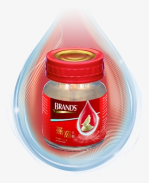 Brand's Bird's Nest Sugar Free Bottle 68ml - Bird Nest