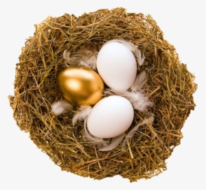 Quail Bird Nest Egg Bird Nest - Golden Egg Necklace, Golden Egg Jewelry, Golden Egg