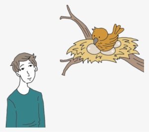 Birds Nest Tea Leaf Dictionary - Bird Nest