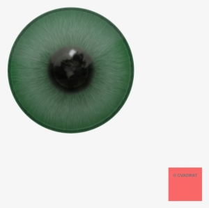 Circle